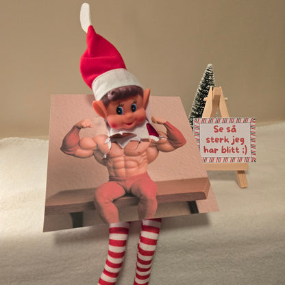 Rampenissesett -  Trening og bjørnefare